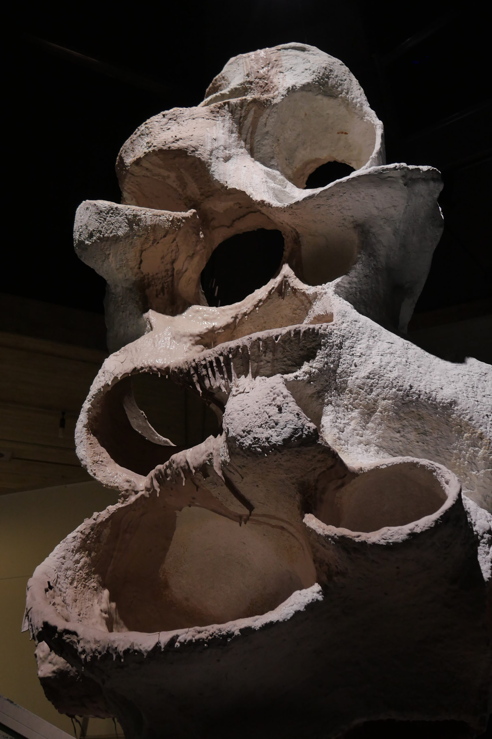 2020_Wild Water, 2020, bois, plâtre, boue, système de pompage, 420 x 300 x 300 cm-1230619
