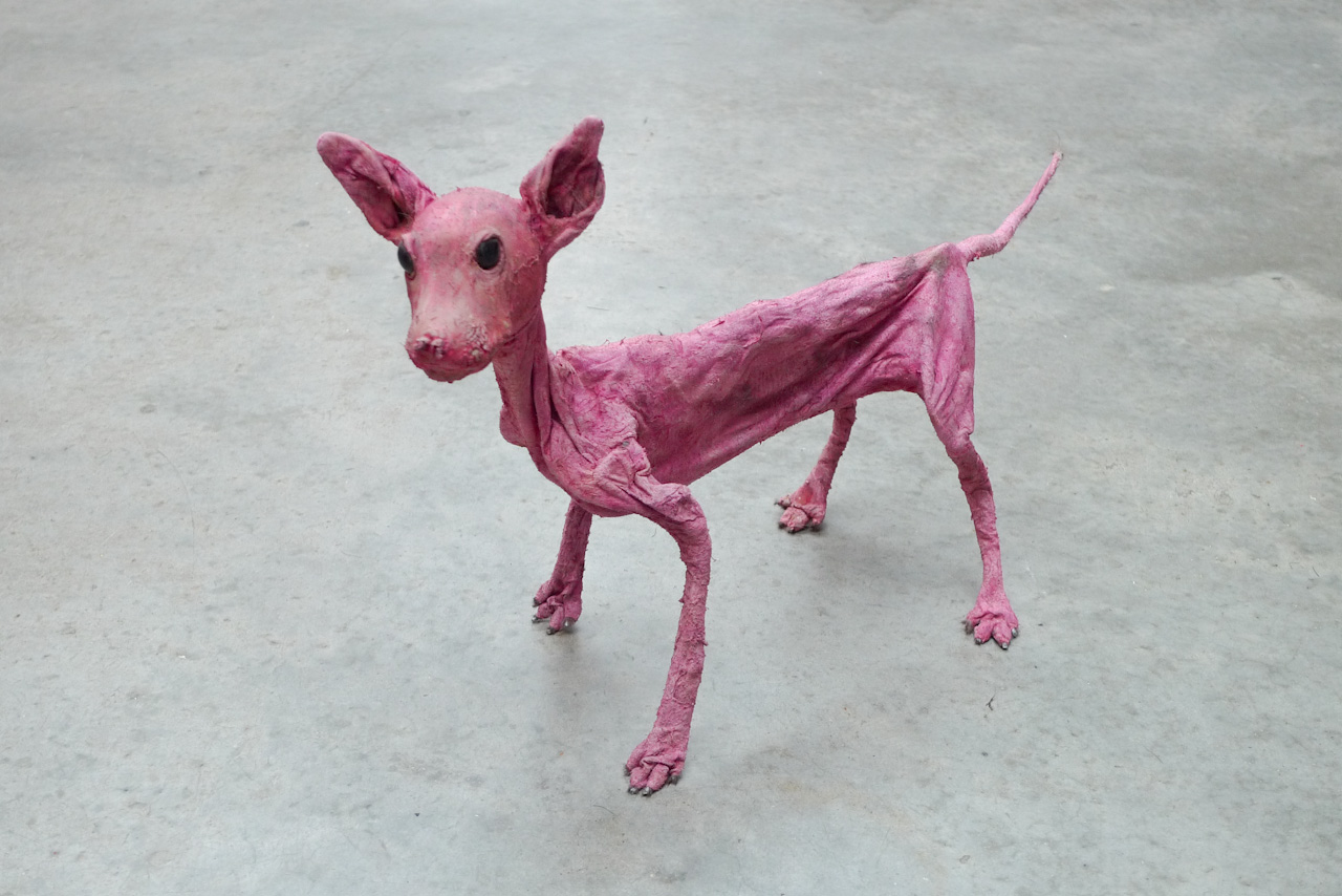 Puppy (Renardeau)
