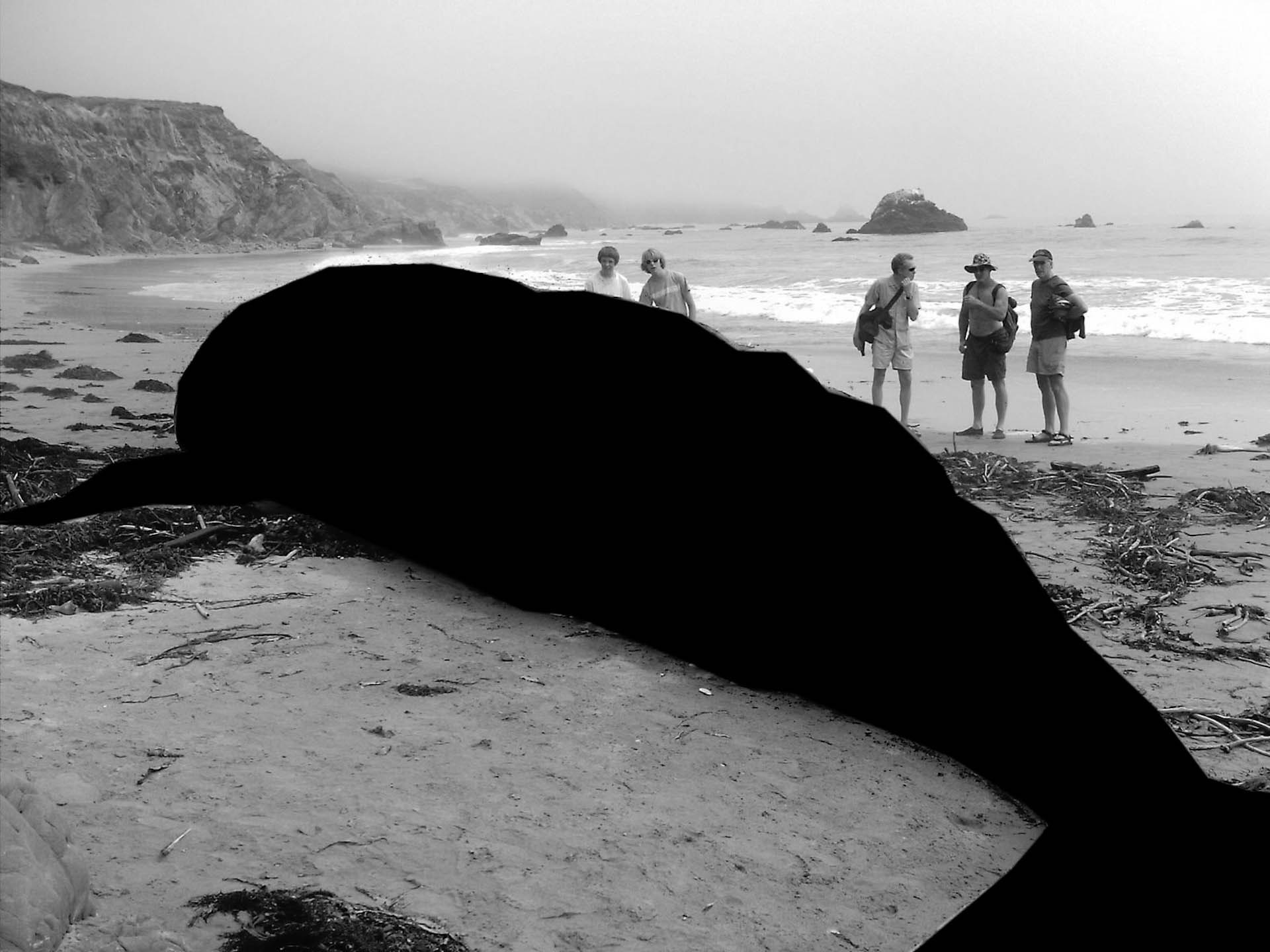 Black Hval-2.jpg