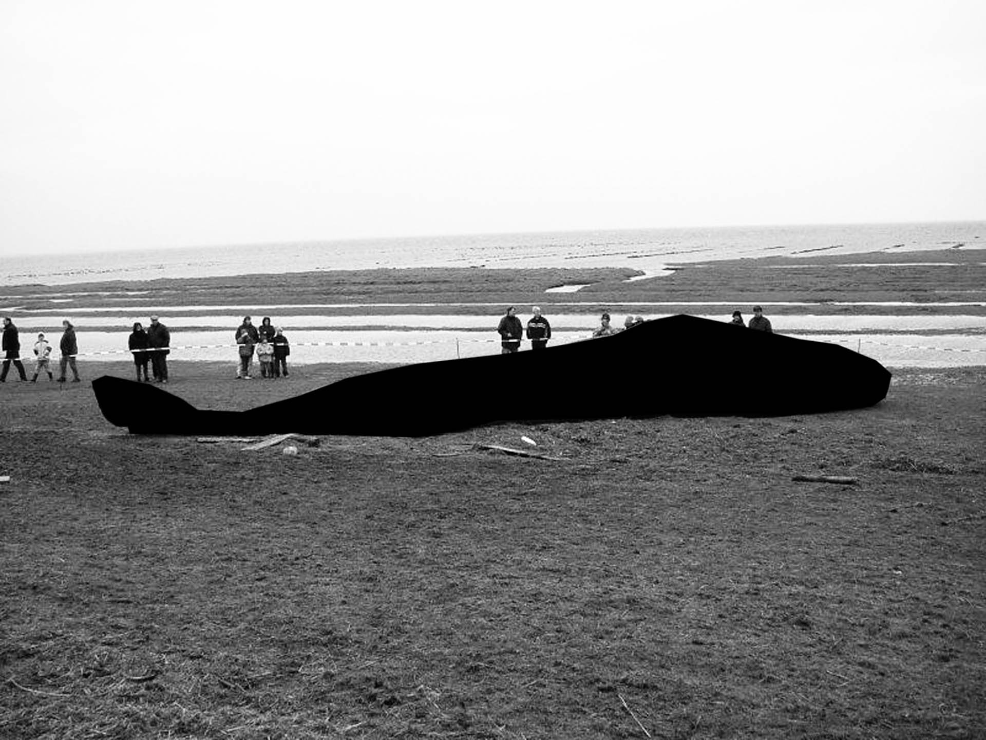 Black Hval-1.jpg