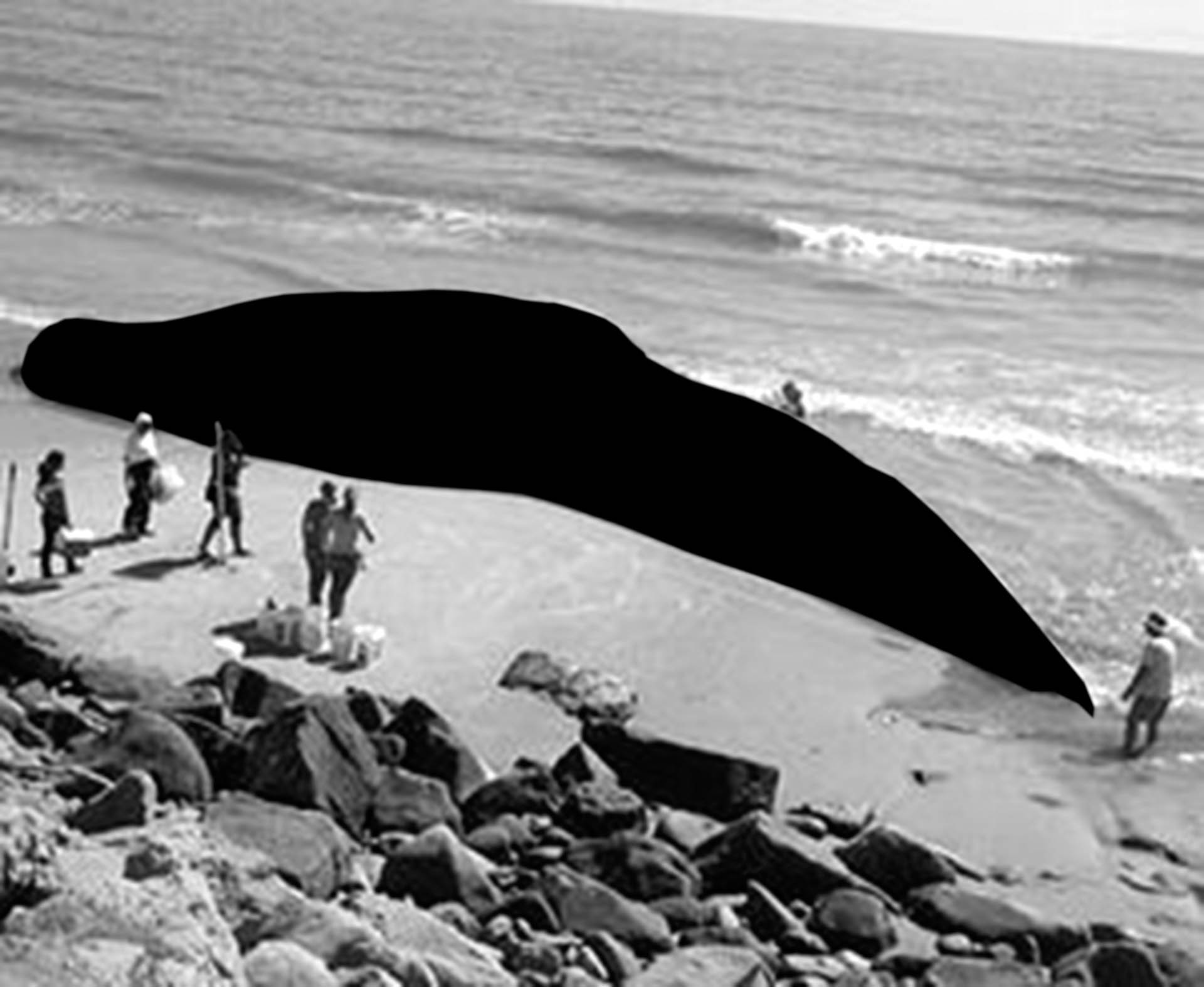 Black Hval-6.jpg