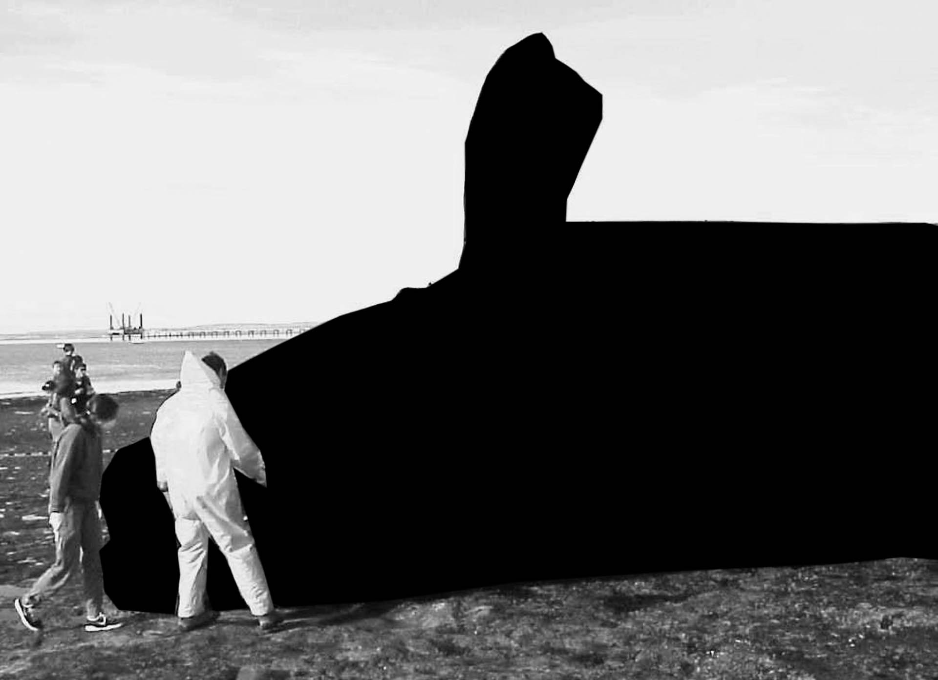 Black Hval-7.jpg