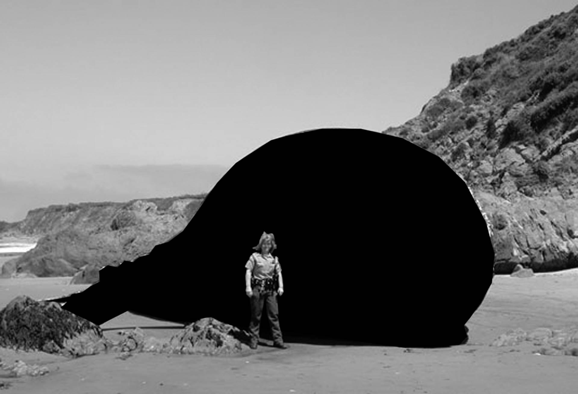 Black Hval-11.jpg