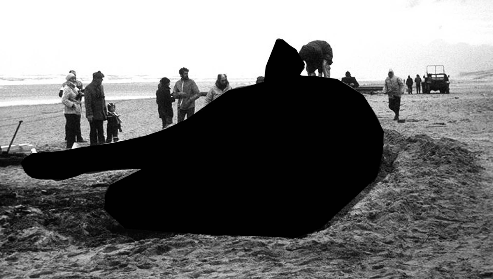 Black Hval-10.jpg