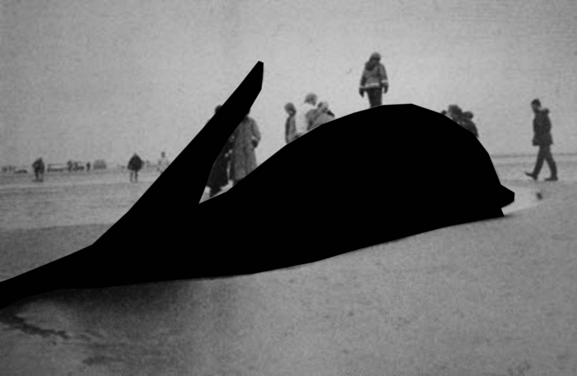 Black Hval-14.jpg