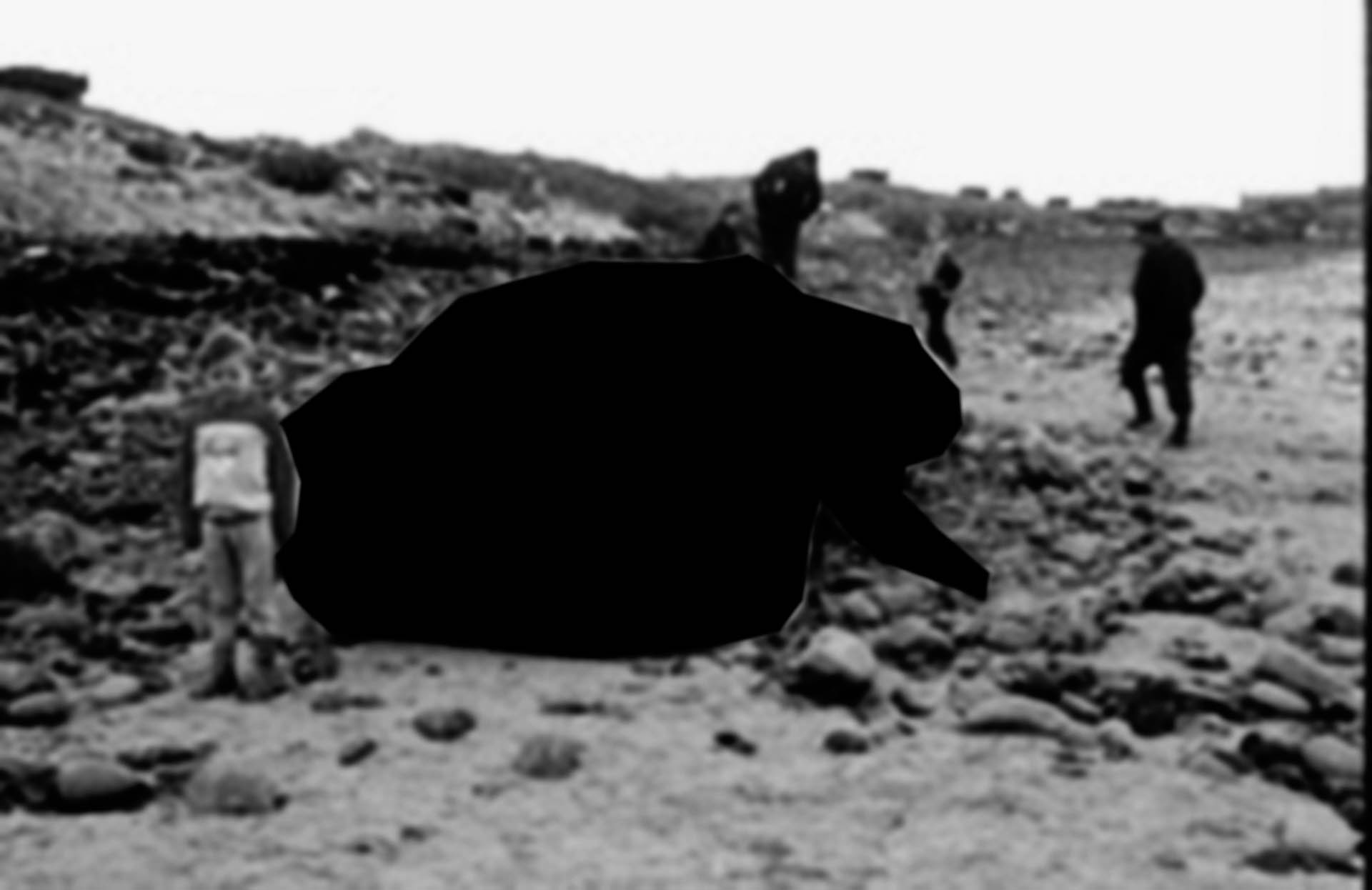 Black Hval-13.jpg