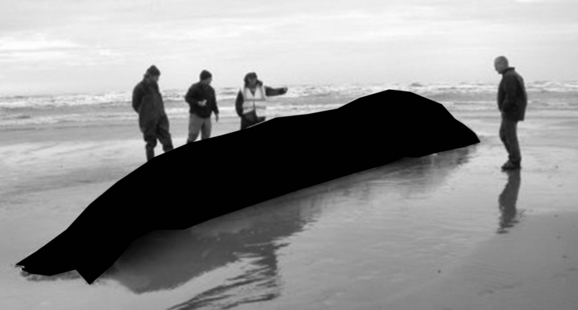 Black Hval-18.jpg