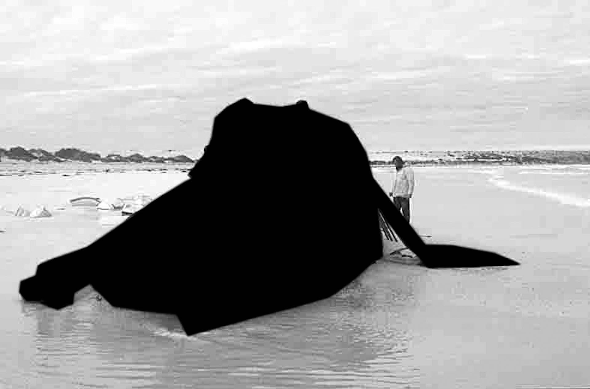 Black Hval-22.jpg