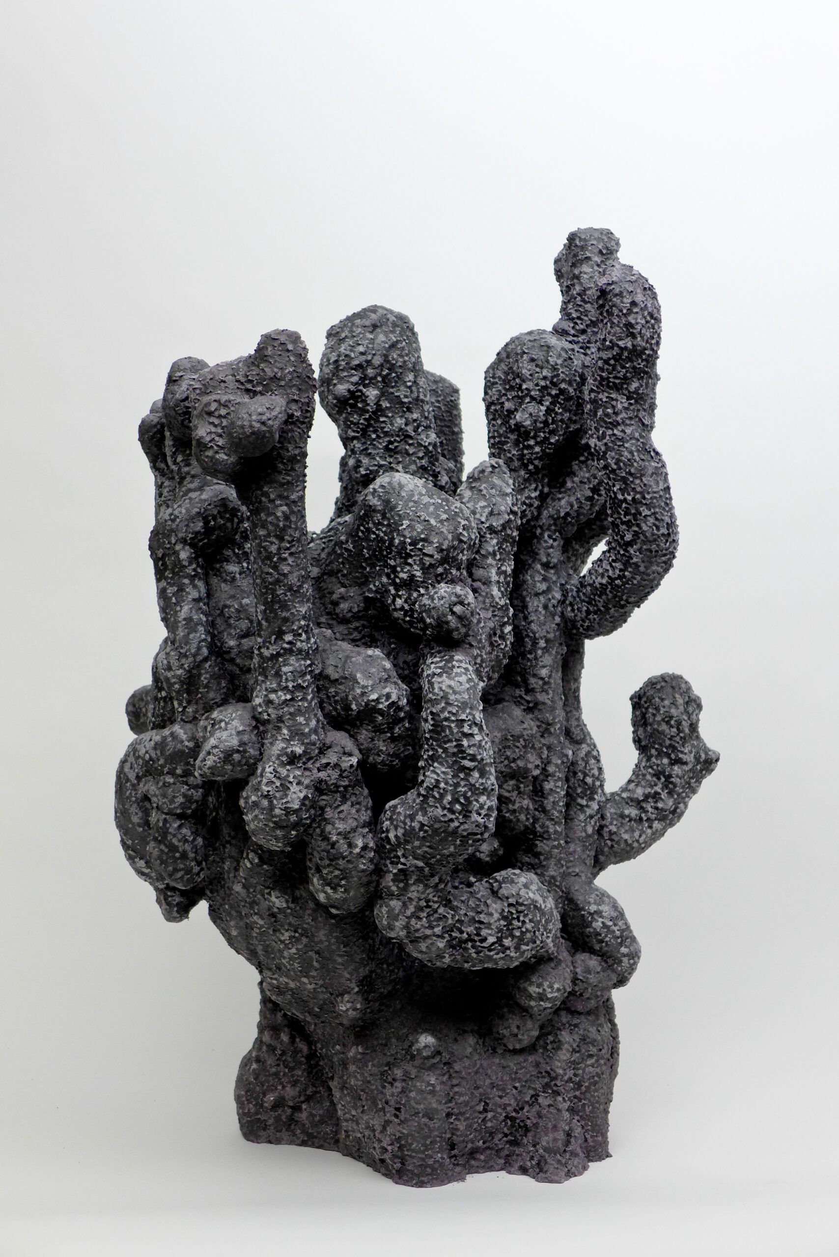 Salmigondis-3.jpg