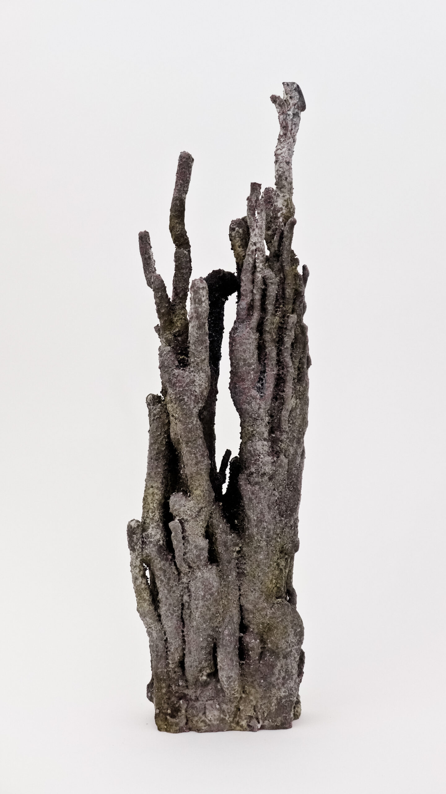 Salmigondis-10.jpg