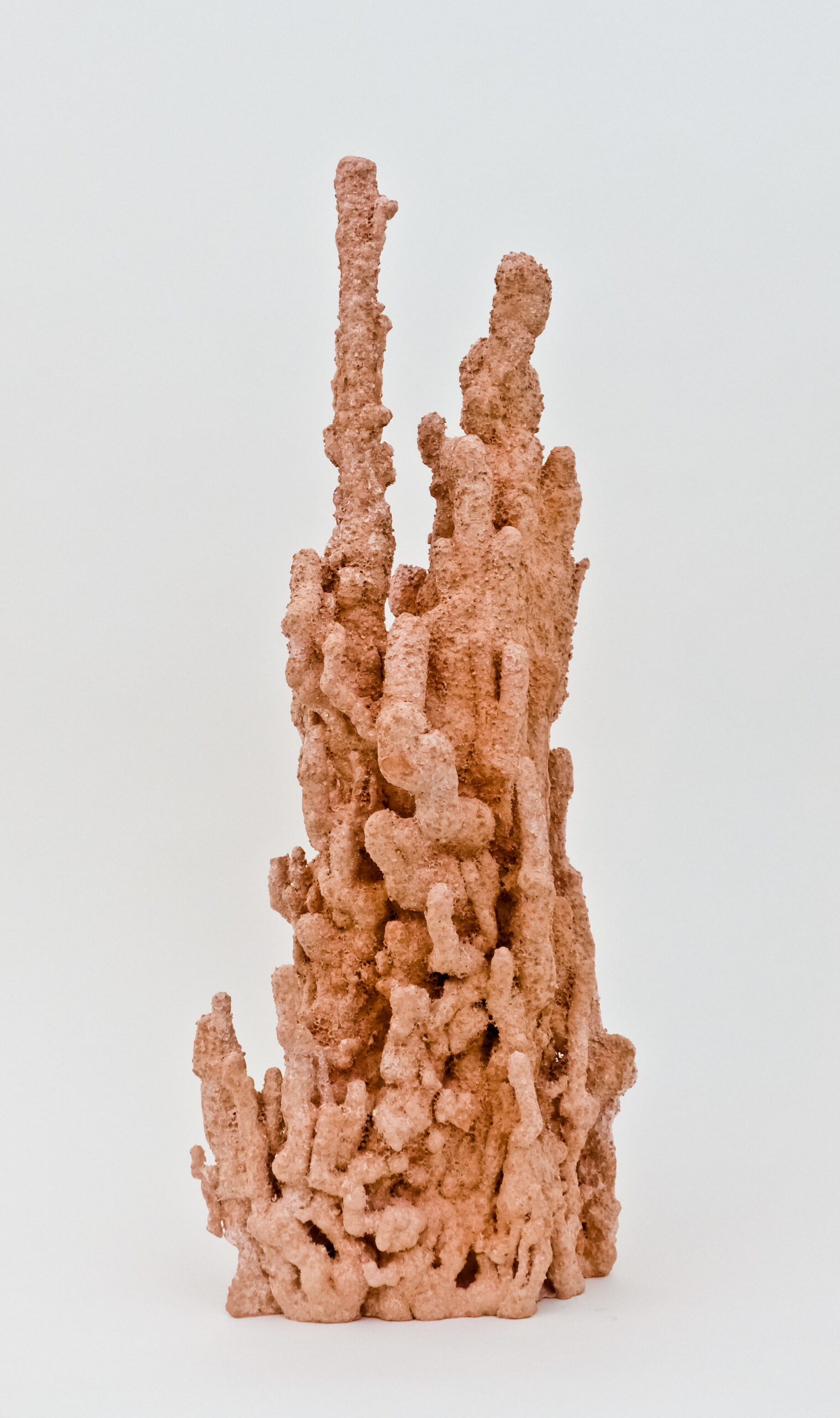 Salmigondis-11.jpg