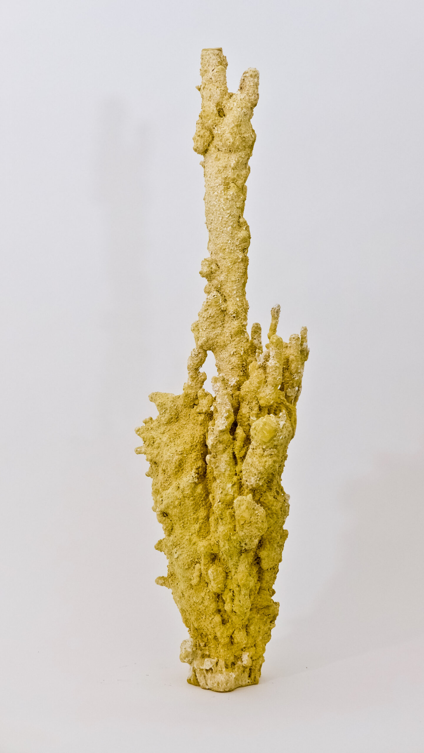 Salmigondis-12.jpg