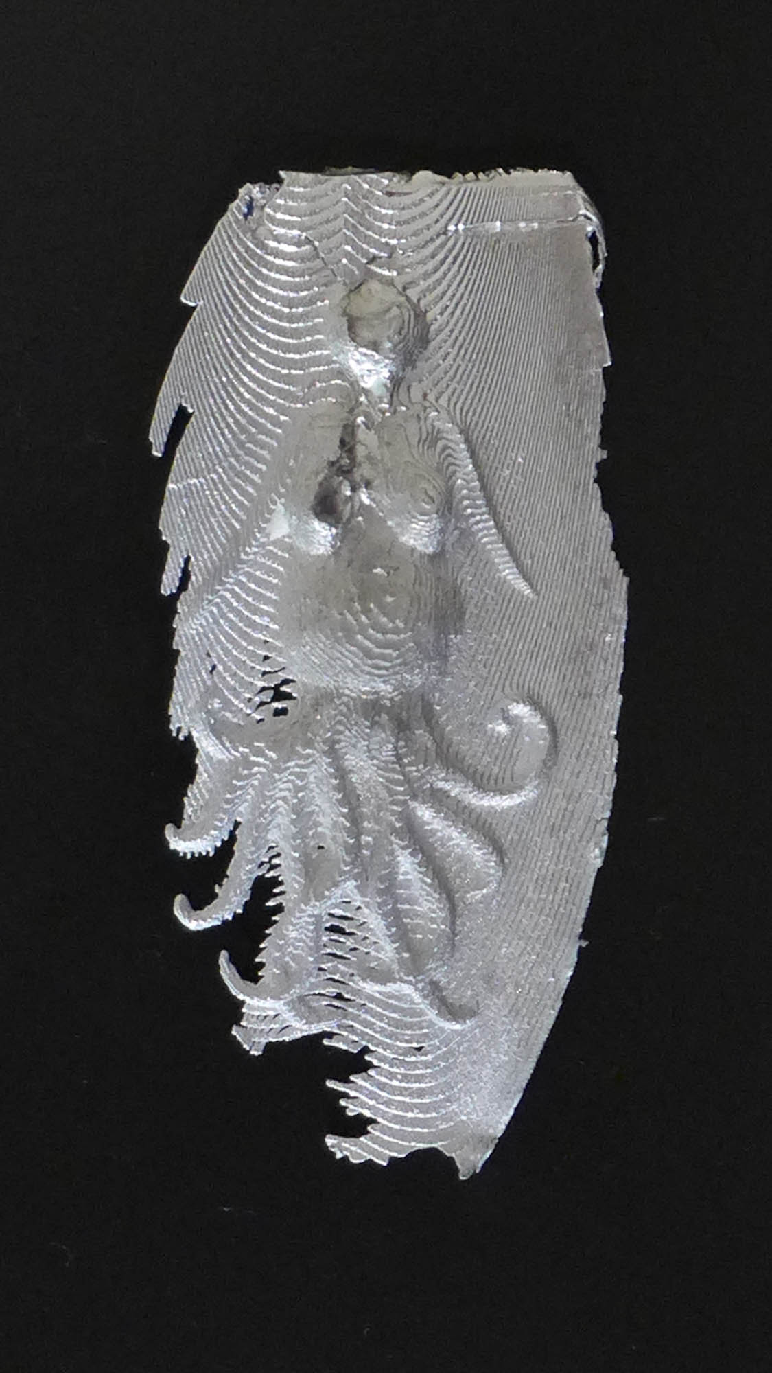 nautillus_picardus-2.jpg