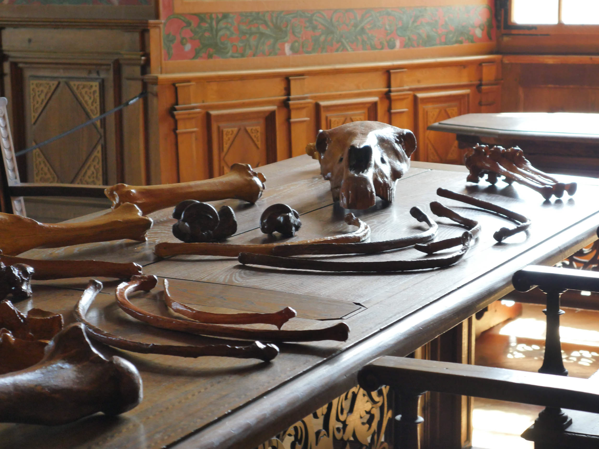 Troyes_remains_DEF-8.jpg