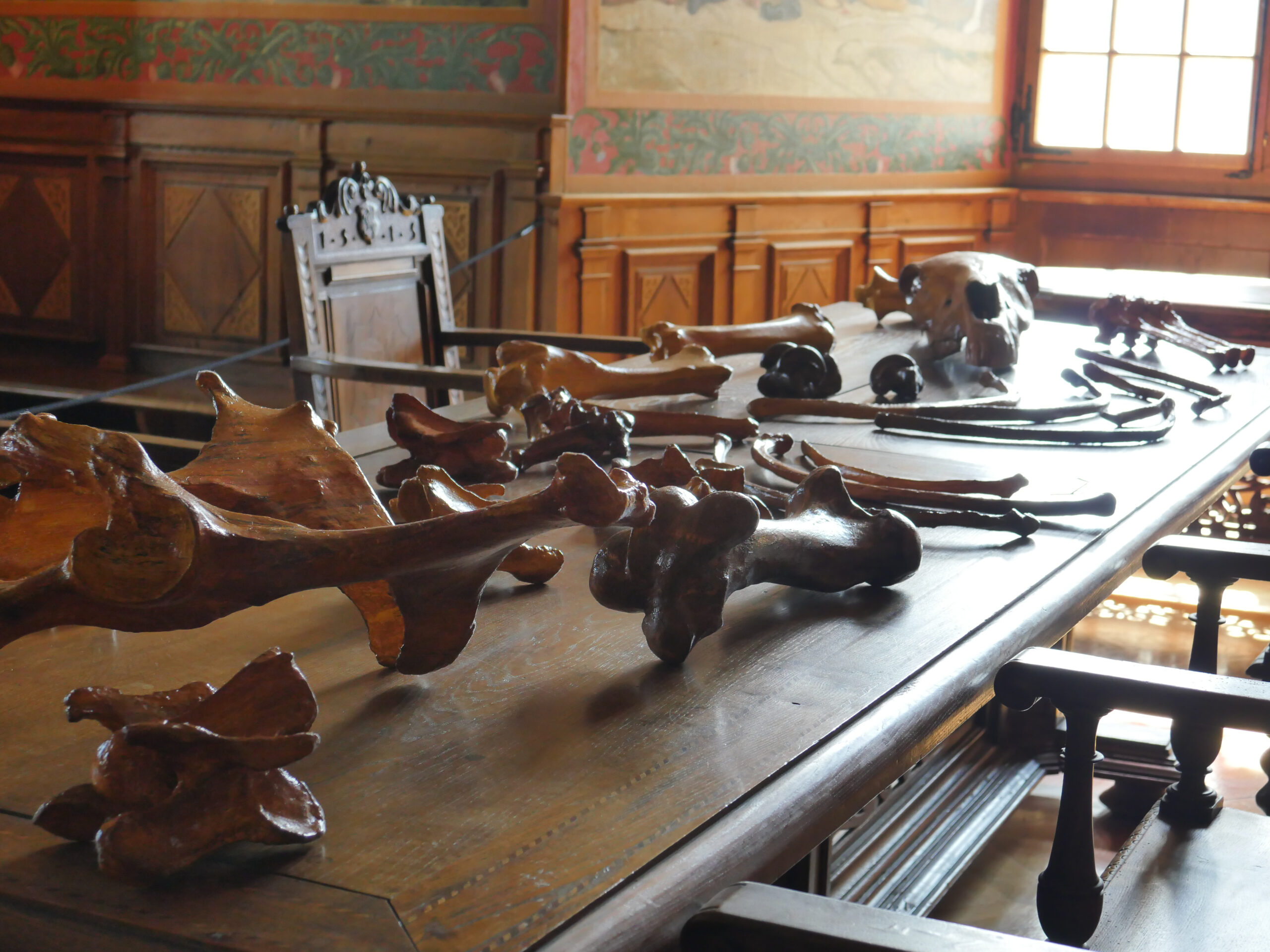 Troyes_remains_DEF-9.jpg
