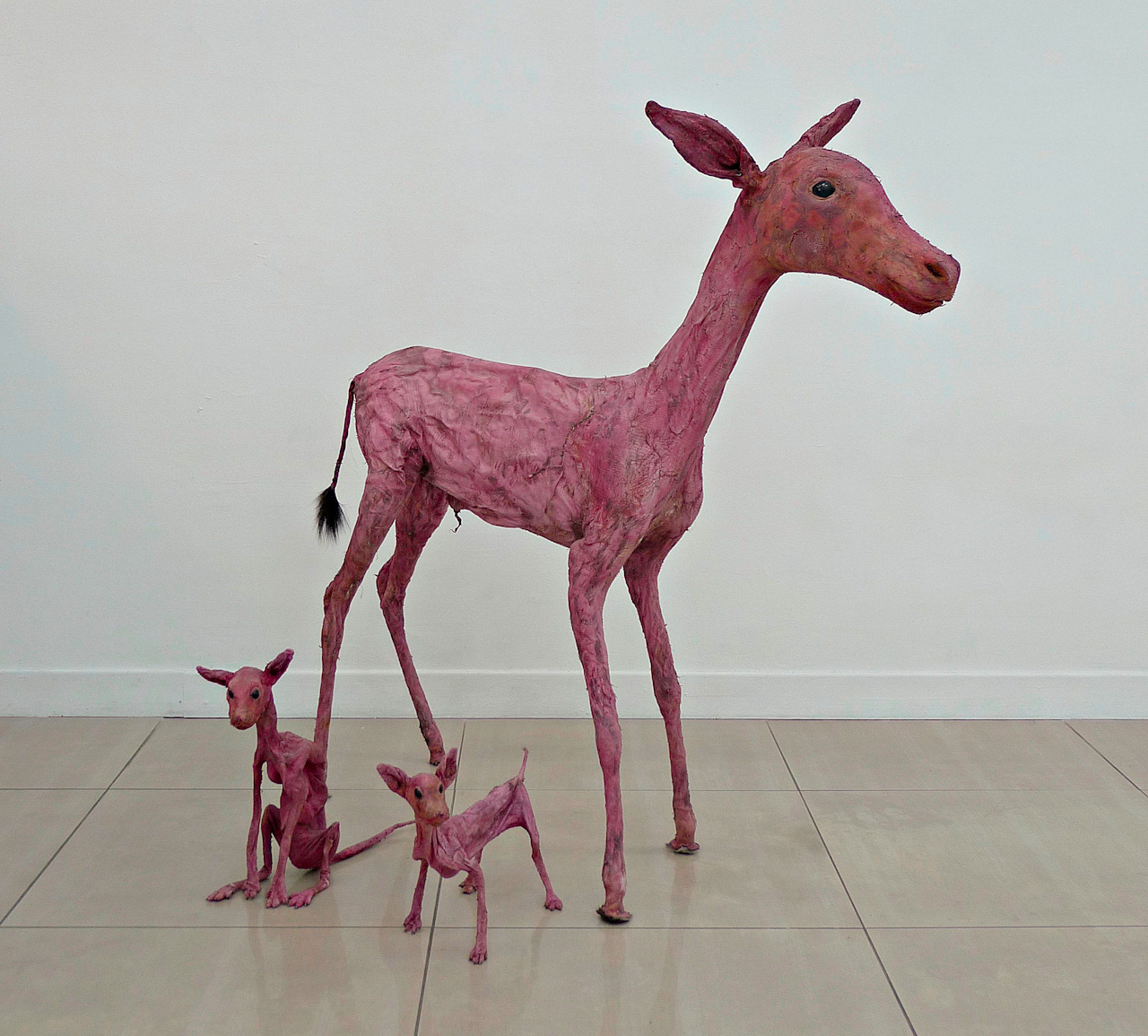 Famille (Ânon et deux renardeaux)