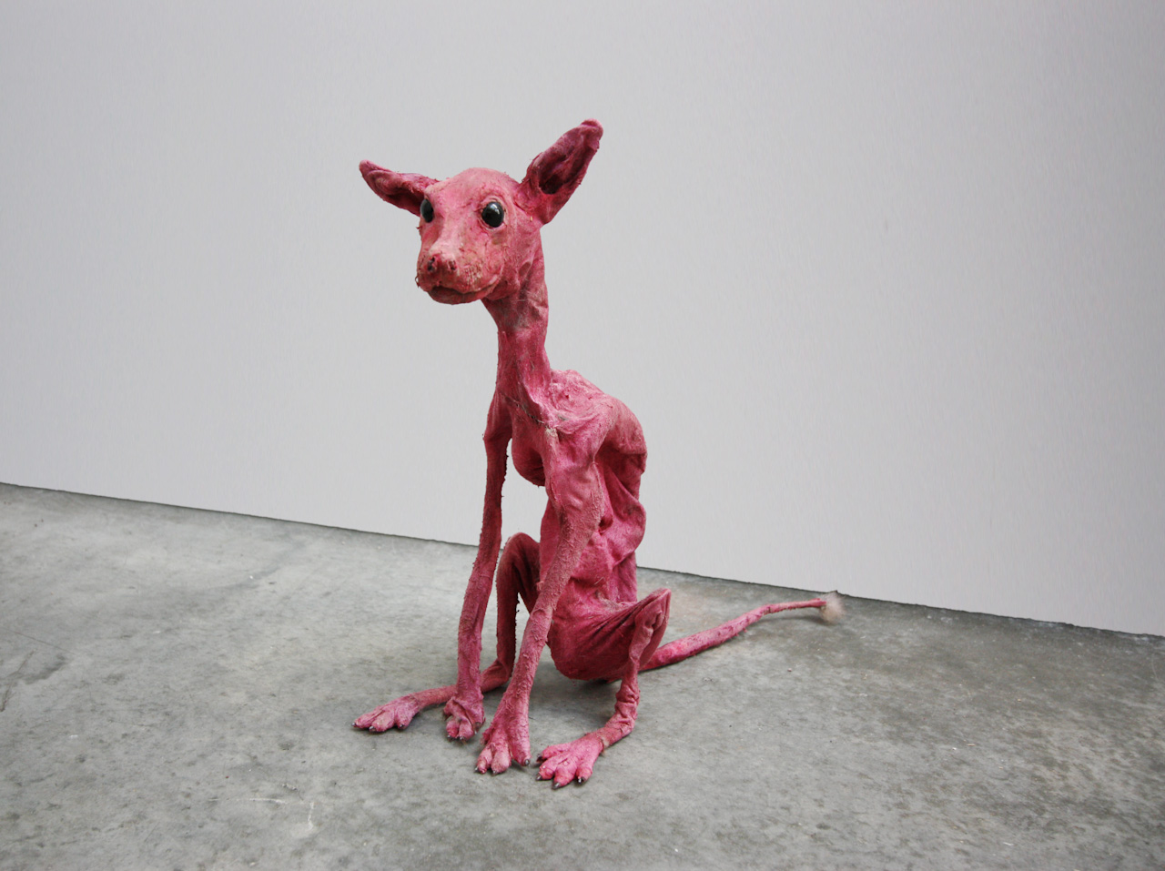 Puppy (Renardeau)